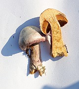 IMG_1467