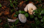 IMG_5973