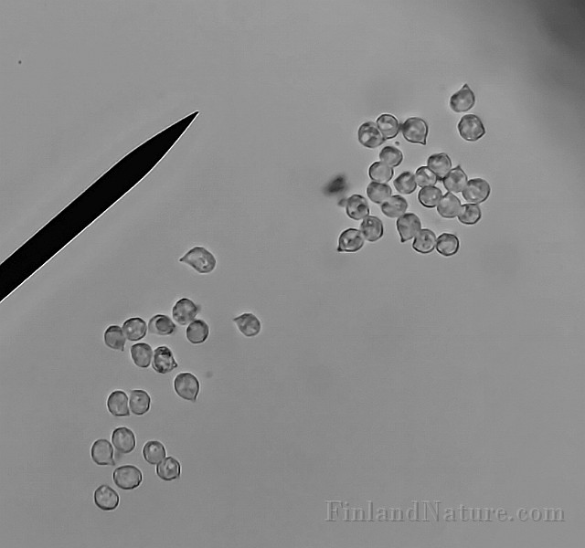 x20200721_213054.jpg