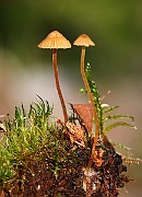 IMG_0172