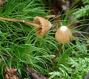 IMG_0824