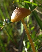 IMG_8615