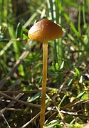 IMG_8617