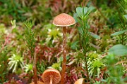 IMG_1832