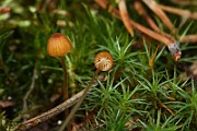 IMG_0977