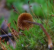 IMG_9238