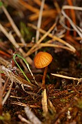 IMG_0523