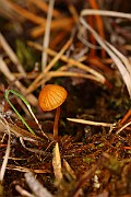 IMG_0524