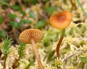 IMG_1798