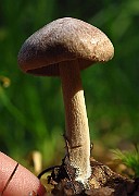 IMG_2167