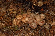 IMG_2175