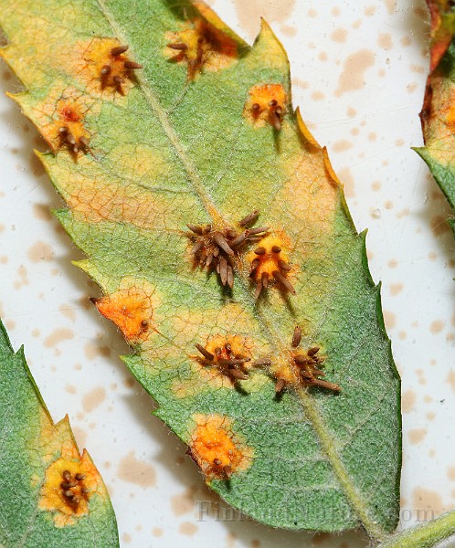 IMG_6478.JPG