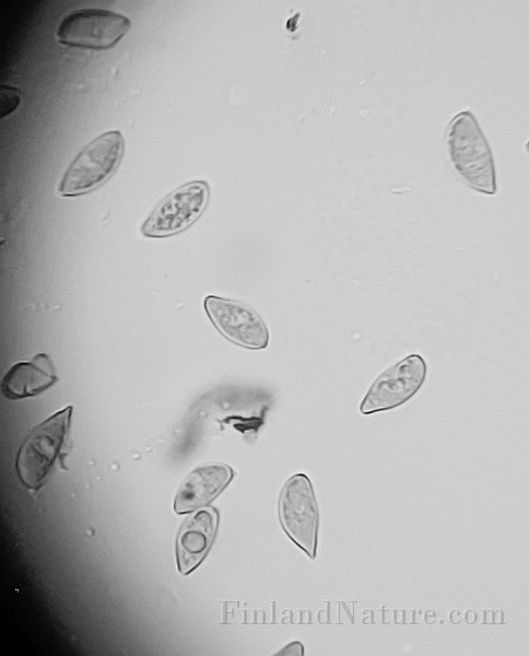 x20200721_210852.jpg
