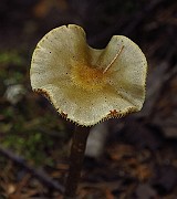 IMG_2430