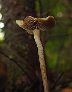 IMG_2431