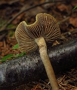 IMG_2436