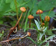 IMG_5989
