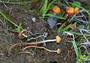 IMG_5990