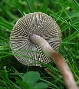 IMG_9436