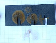 IMG_0284
