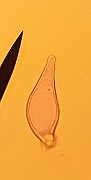 20200815_004545
