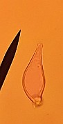 20200815_004549