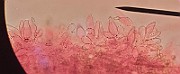 20200815_004758