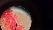 20200815_013122