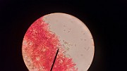 20200815_013138