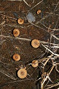 IMG_0397