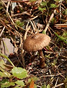 IMG_1105
