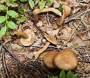 IMG_1568