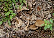 IMG_1570