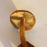 IMG_2838