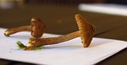 IMG_2840