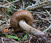 IMG_6182