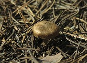 IMG_7535