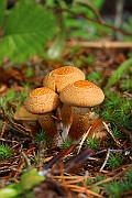 IMG_1097