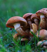 IMG_1715