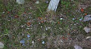 IMG_9483