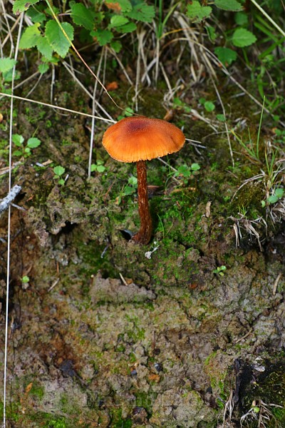 IMG_0891.JPG