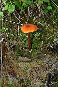IMG_0891