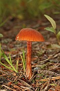 IMG_1101