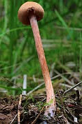 IMG_6092