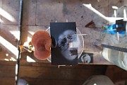 IMG_0437