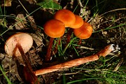 IMG_2414