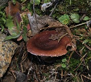 IMG_0115