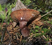 IMG_0116