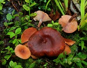 IMG_5913