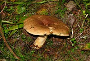 IMG_9700
